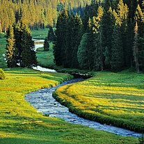 Der Rachelbach