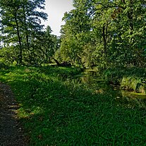 Weg an der Malxe zum Waldhotel Eiche Weg an der Malxe zum Waldhotel Eiche