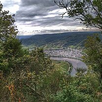 Das Moseltal vom Calmont aus Das Moseltal vom Calmont aus