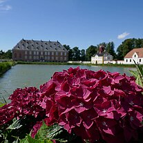 Schloss Valdemar Slot mit Pflanzen