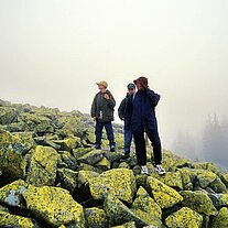 auf dem Gipfel