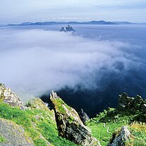 Nebel zieht auf
