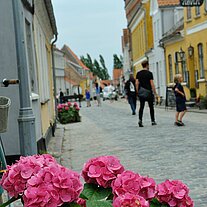 Strasse in Aeroskobing mit Blumen