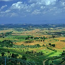 Landschaft um Montaione