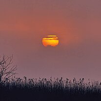 aufgehende Sonne am See