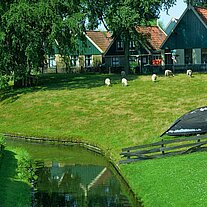 Kanal mit Häusern und Deichschafen
