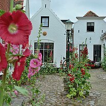 Blumen im Vorgarten