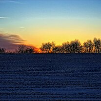 Feldsaum hinterm Haus