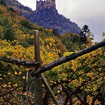 Hocheppan über den Weinbergen