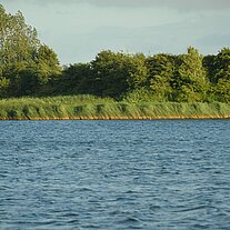 Uferzone gegenüber im Wind