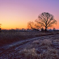 kurz vor Sonnenaufgang